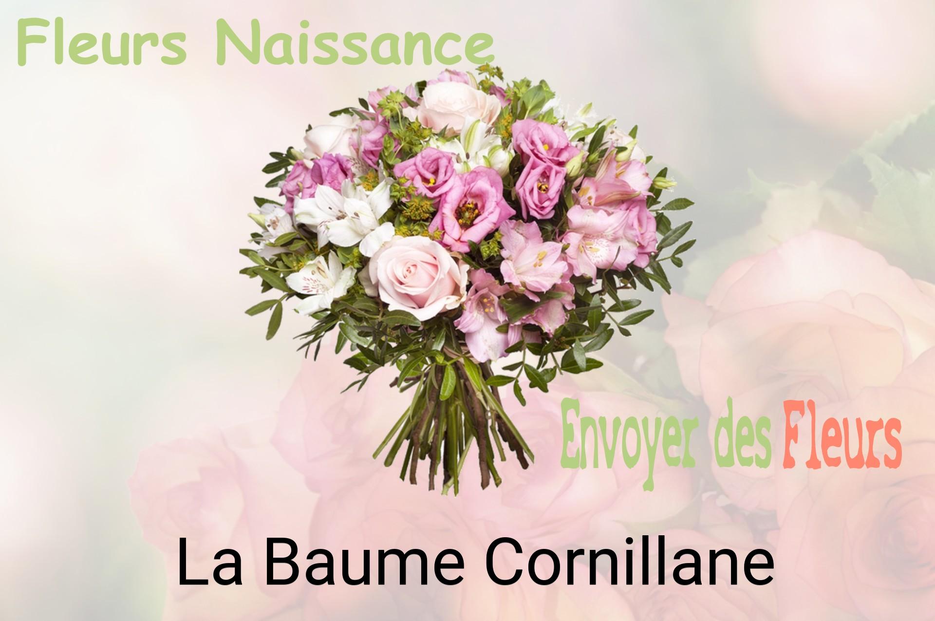 Bouquet de fleurs de naissance livré à La Baume-Cornillane